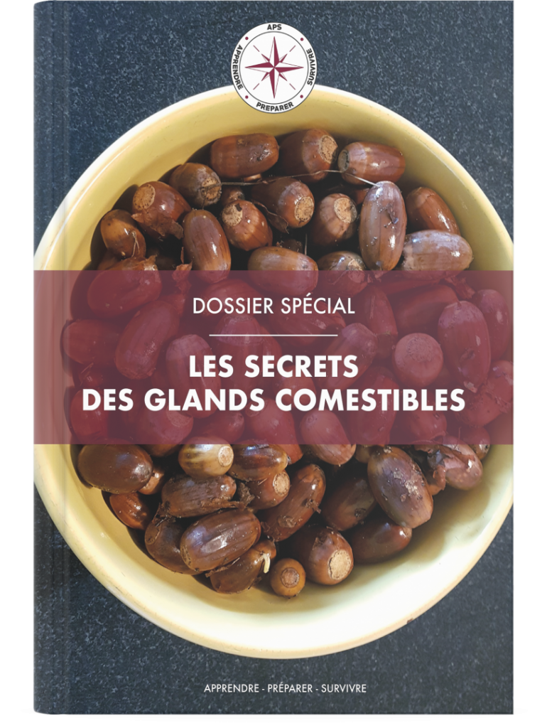 Mockup Les secrets des glands comestibles