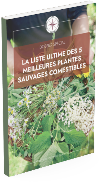 Dossier plantes sauvages mockup