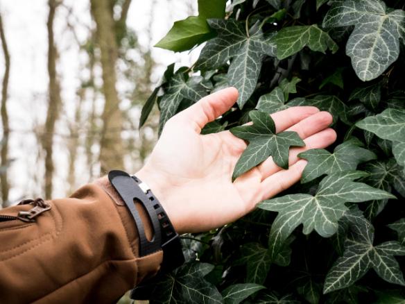 5 boussoles naturelles pour s’orienter en pleine nature 1 Avec un peu de pratique, les indices de la nature vous permettront de retrouver le Nord.