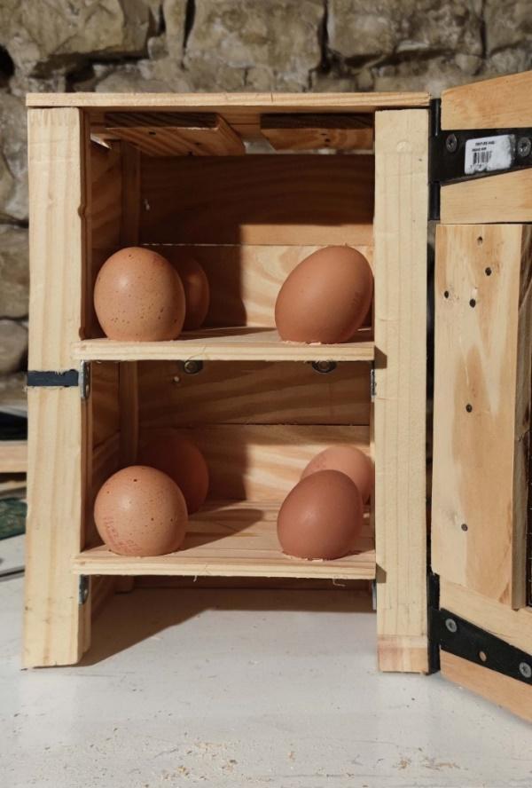 Réaliser une boîte à œufs 1 image1 41