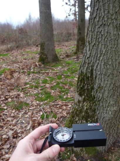 5 boussoles naturelles pour s’orienter en pleine nature 11 La mousse pousse-t-elle vraiment au nord des arbres en forêt ? La preuve par l’image.