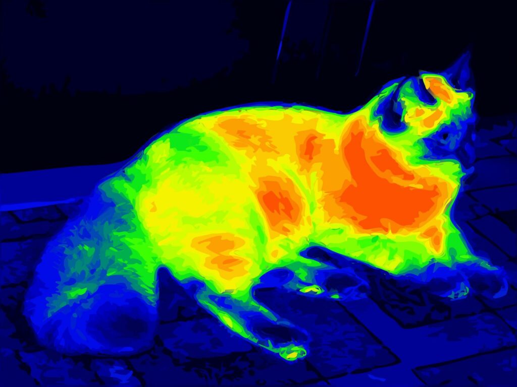 Vision nocturne : Repère-toi dans la nuit 2 lentilles thermiques