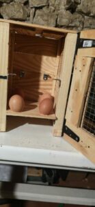 Réaliser une boîte à œufs 18 « enfermer » notre grillage