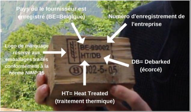 différents traitements des palettes