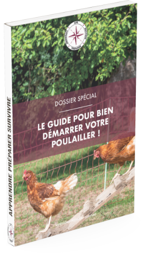 Faire éclore des oeufs en 11 étapes 14 mockup poules2 1