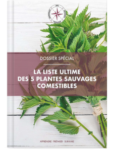 Accueil - Apprendre Préparer Survivre 13 Mock up La liste ultime des 5 plantes sauvages comestibles 1