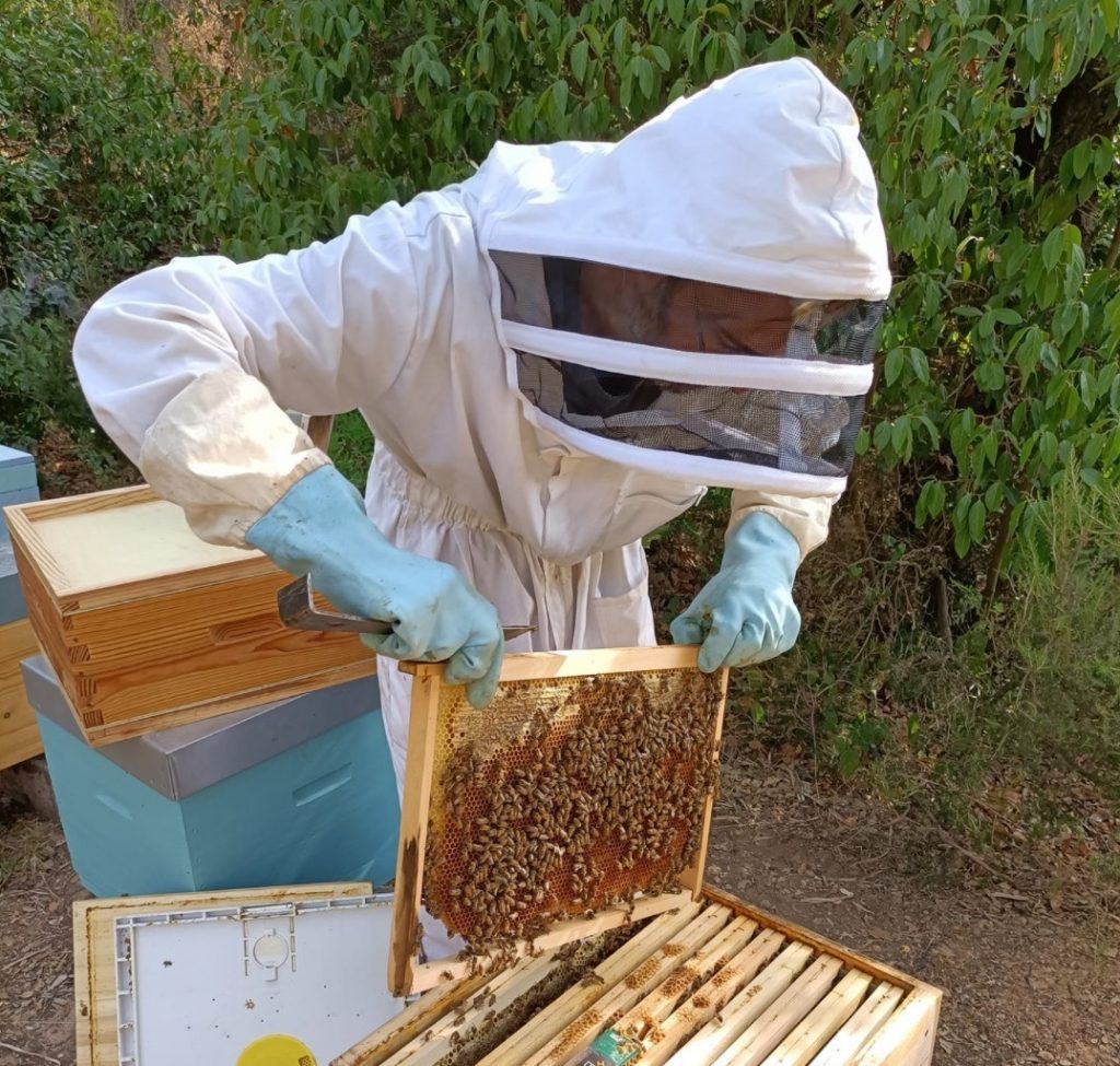 apiculteur abeilles miel