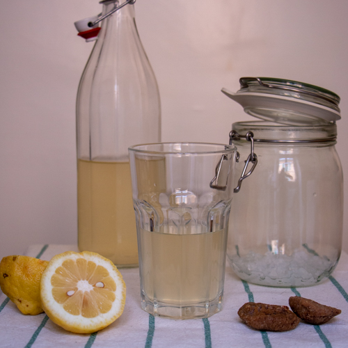 La recette du kéfir : le soda naturel aux probiotiques !