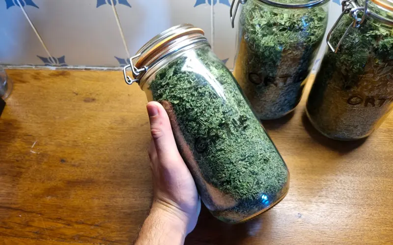 Comment sécher tes plantes sauvages en 4 étapes simples ! 2 image3 1