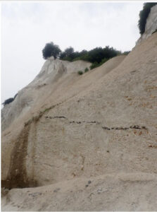 Falaises de Møn, la trace noir horizontale au milieu est une veine de silex