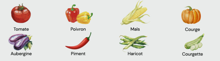 Les légumes du chaud