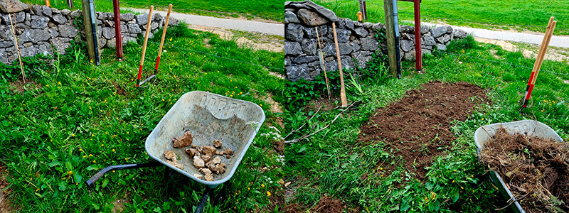 actions à faire en septembre au potager