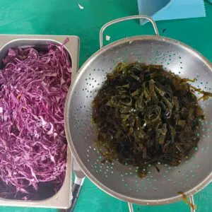 Faire des pickles maison : une méthode simple pour conserver vos légumes et gagner en autonomie 2 reserver algues et choux rouge