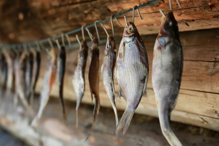 Poissons suspendus en cours de séchage