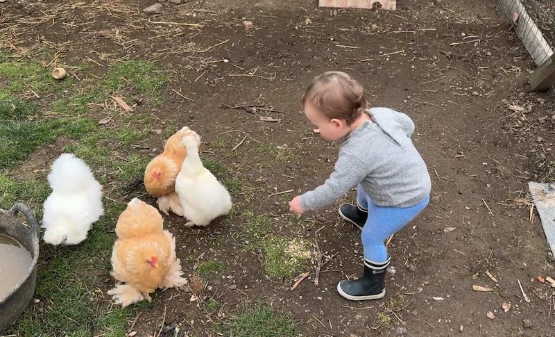 Faire éclore des oeufs en 11 étapes 1 image5 4