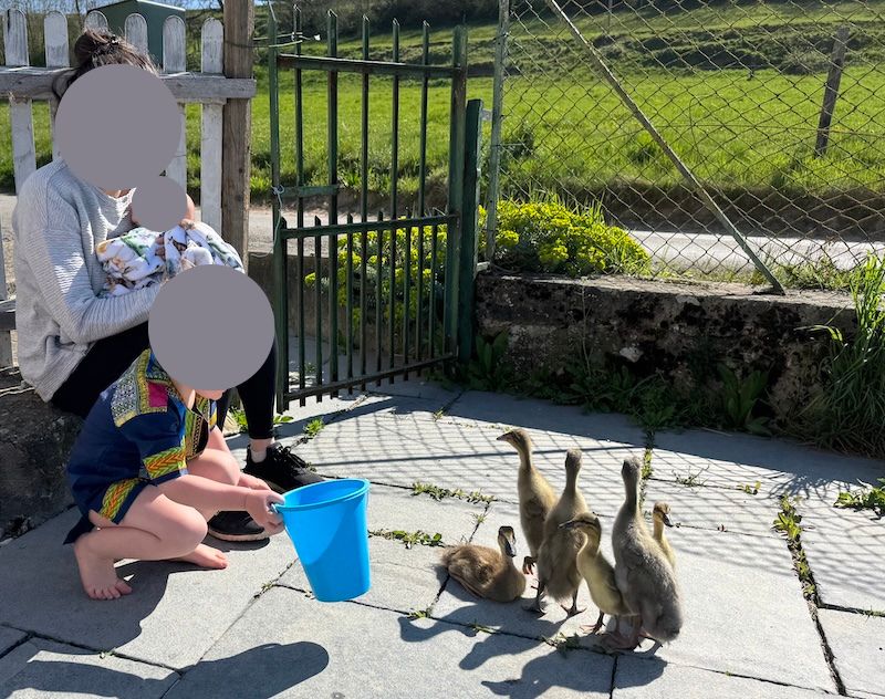 Faire éclore des oeufs en 11 étapes 2 image8 2