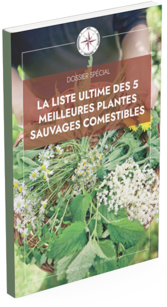 Dossier plantes sauvages mockup.png