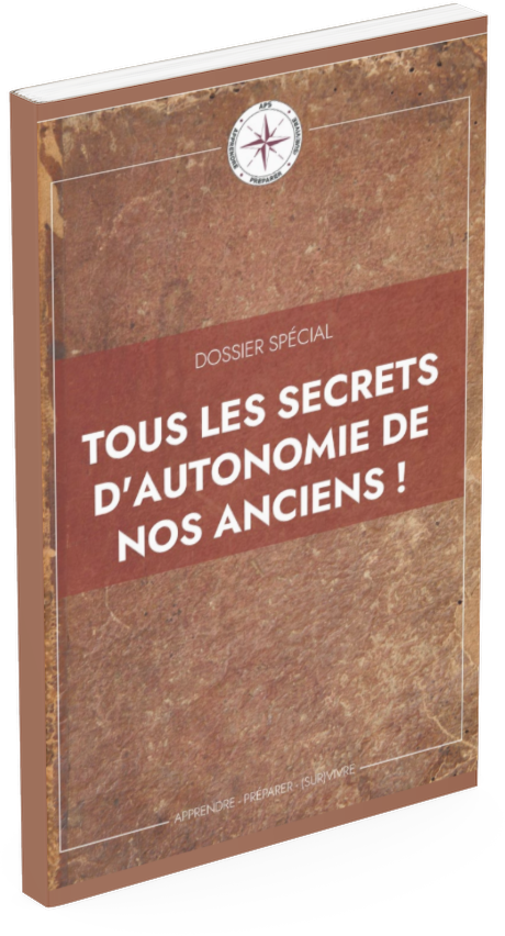 smartmockups llouo20j.png